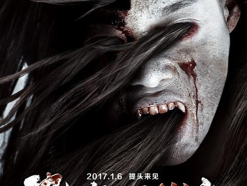 梵蒂冈驾驶证怎么买假的